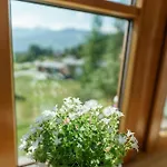 Landhaus Birgbichler - Apartments In Ramsau Am Dachstein - Inklusive Sommercard! Apartment Ramsau am Dachstein