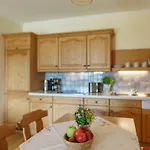 Landhaus Birgbichler - Apartments In Ramsau Am Dachstein - Inklusive Sommercard! Apartment Ramsau am Dachstein