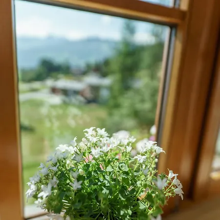 Landhaus Birgbichler - Apartments Mit Bergblick Inklusive Sommercard! Apartment Ramsau am Dachstein
