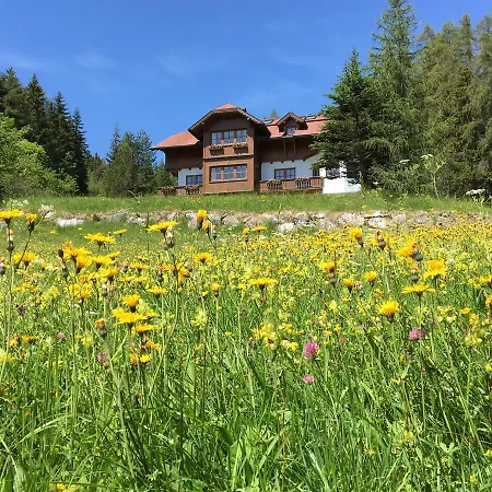 Landhaus Birgbichler - Apartments Mit Bergblick Inklusive Sommercard! Apartment Ramsau am Dachstein