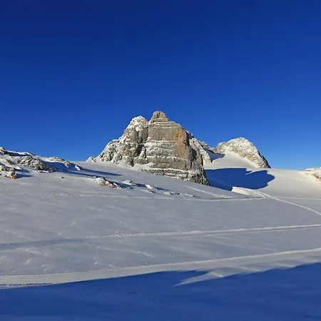Landhaus Birgbichler - Apartments Mit Bergblick Inklusive Sommercard! Ramsau am Dachstein
