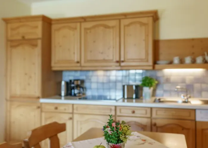 Birgbichler - In - Schladming Dachstein Апартаменты Рамзау