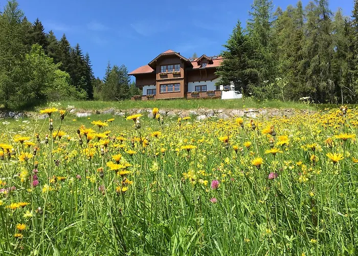 Birgbichler - In - Inklusive Sommercard! Apartamento Ramsau am Dachstein